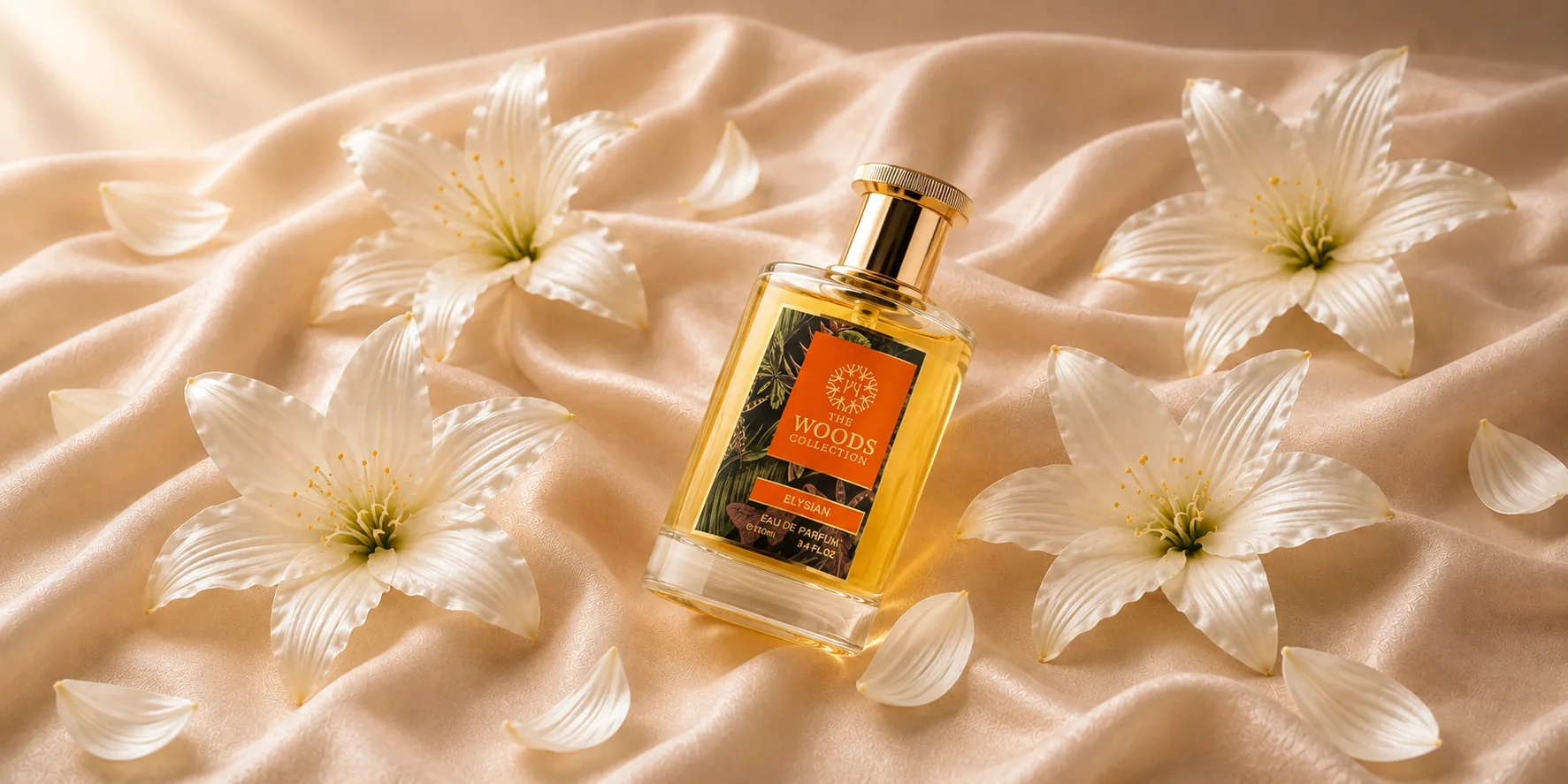 The Woods Collection woodland fragrance hero