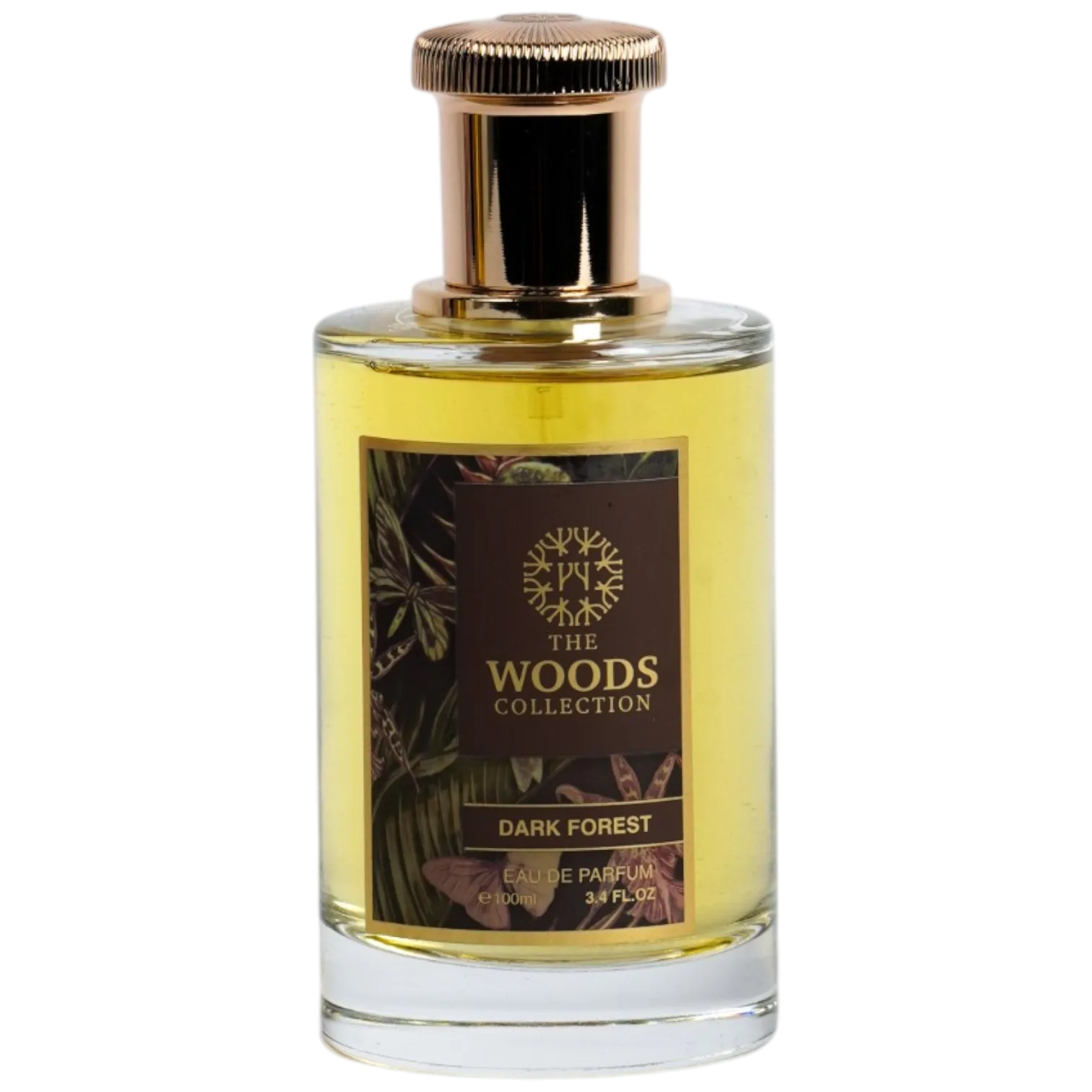 DISCOVER THE WOODS
